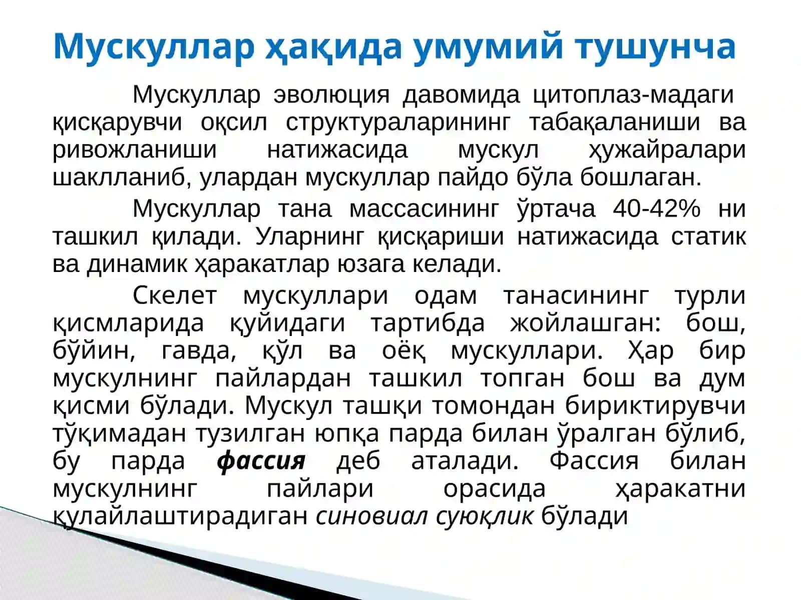 Мускулларнинг тузилиши, вазифалари ва аҳамияти 3
