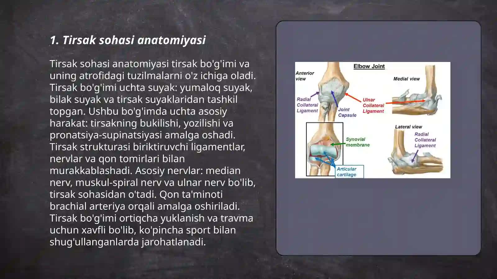 Bolalar va kattalarda tirsak sohasi anatomiyasi 3