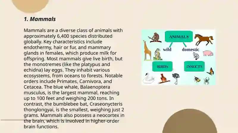 Groups of animals 3