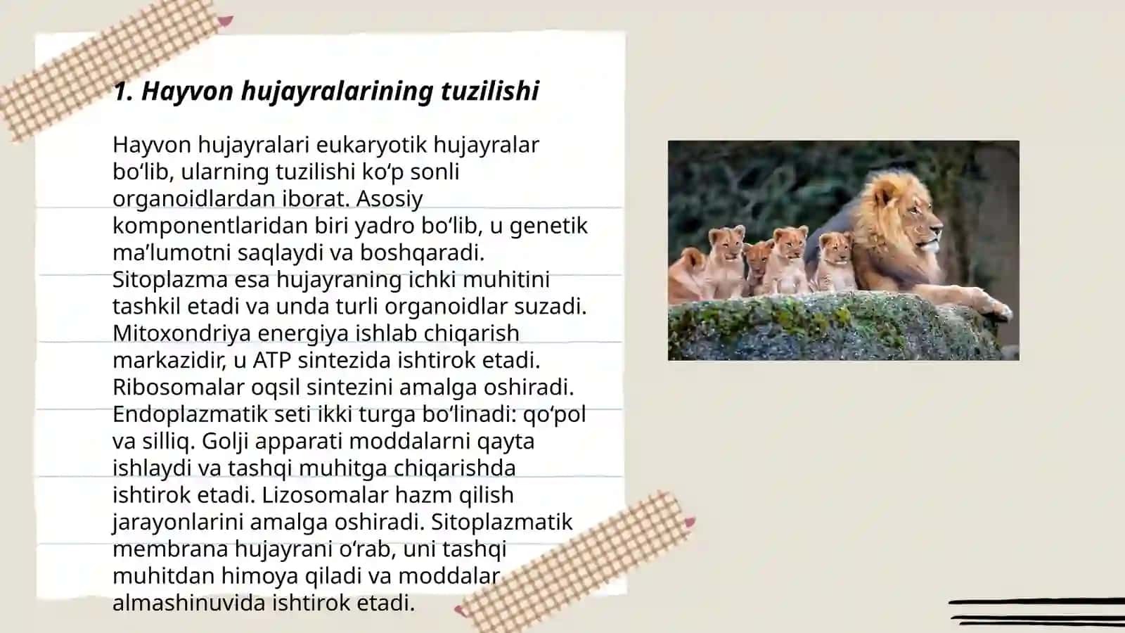 Hayvon hujayralari 3