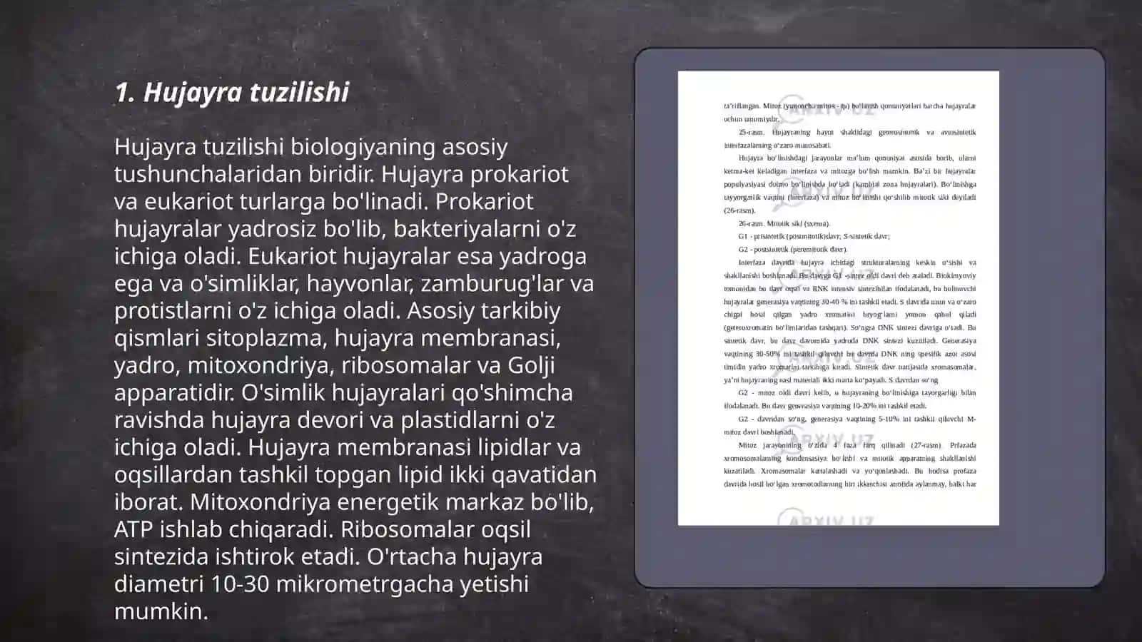 Hujayraning hayotin sikli va bolinishi 3