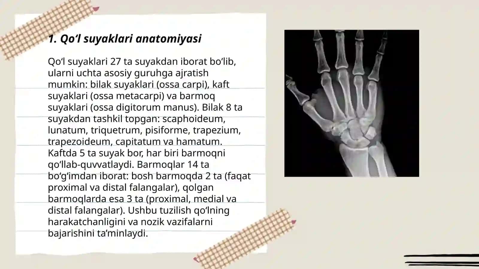 Qo‘lning erkin suyaklari birlashmalari 3