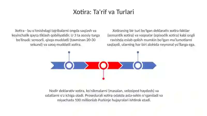 Xotira 3