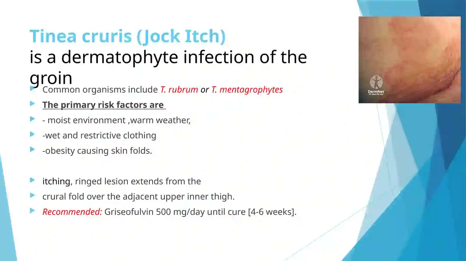 Medical Mycology Lecture 3