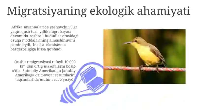 Qushlarning kelib chiqishi va evolyutsiyasi 3
