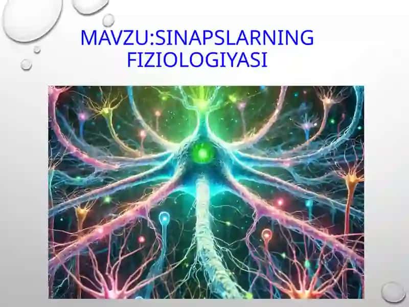 Sinapslar fiziologiyasi 3