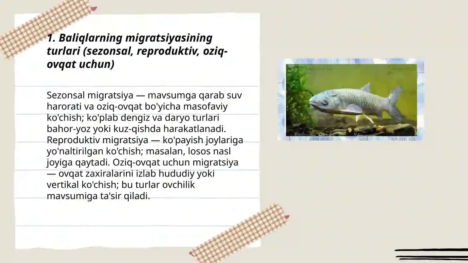 Baliqlarning migratsiyasi. Baliqlarning iqtisodiy ahamiyati 3