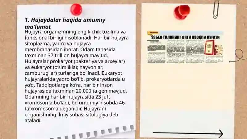 Hujaydagi Zarur Qisimlar 3