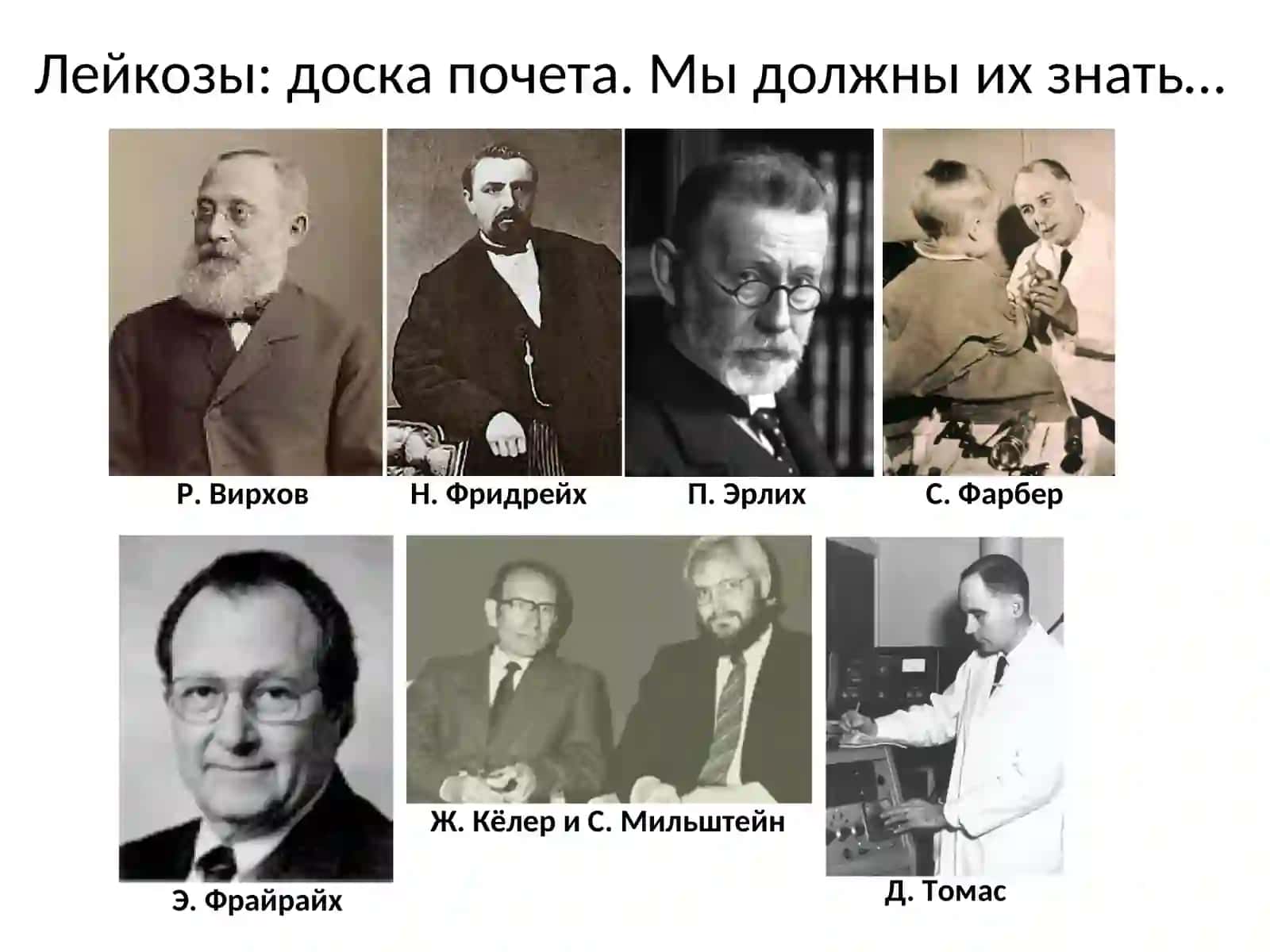 Лейкозы 3