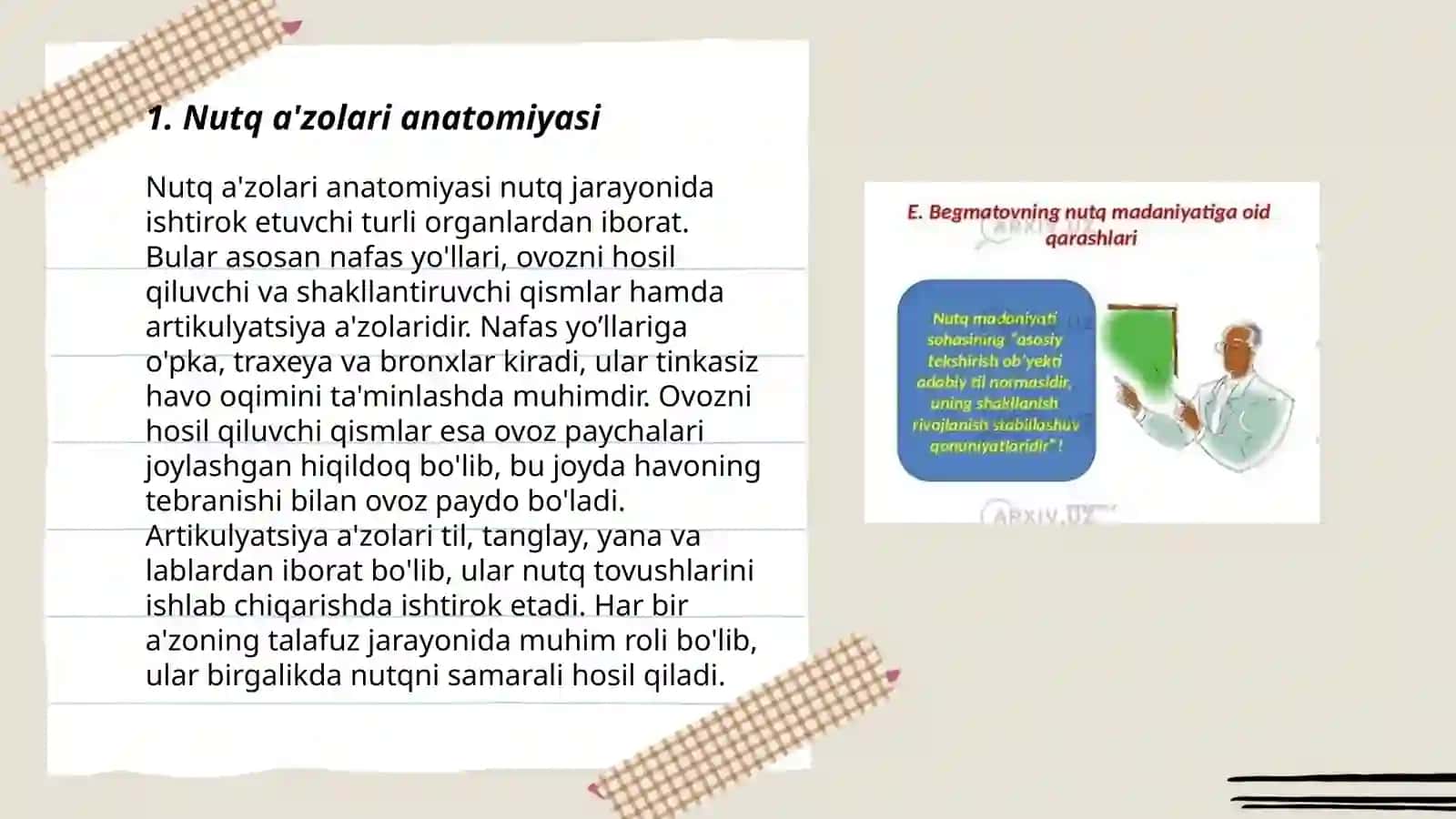 Nutq a'zolari va ularning vazifalari 3