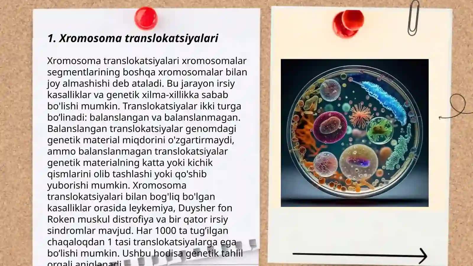 Xromosoma translokatsiyalari 3