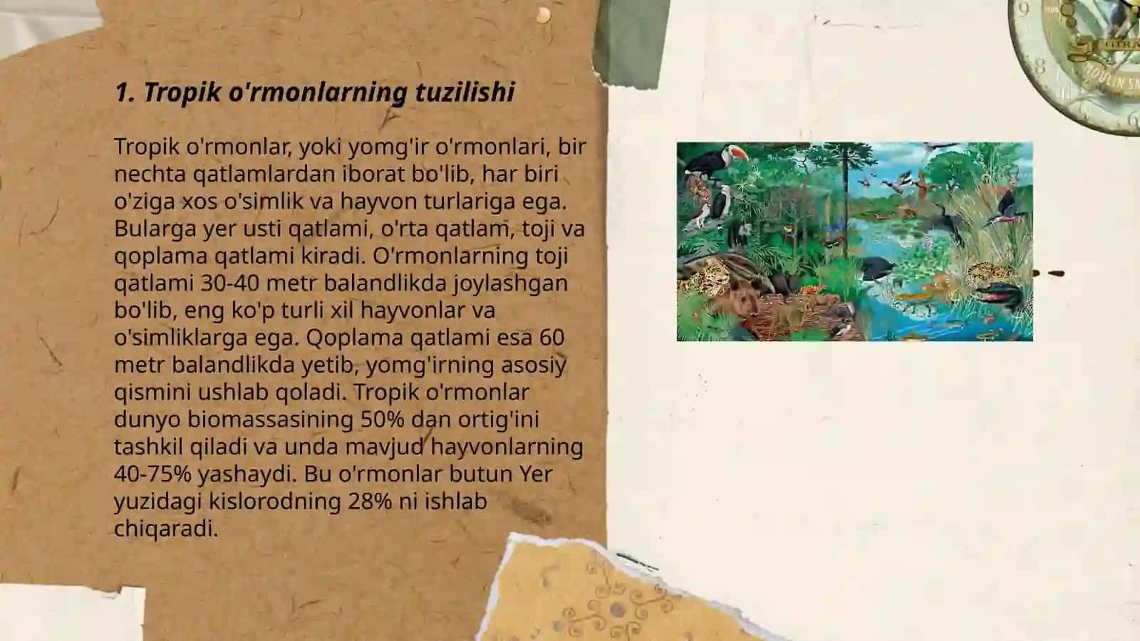 Ekosistemalarning tropik strukturasi 3