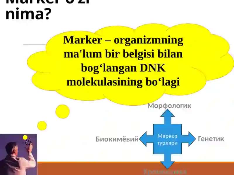 Molekulyar markerlar va ularning amaliyotlarda qo'llanilishi 3