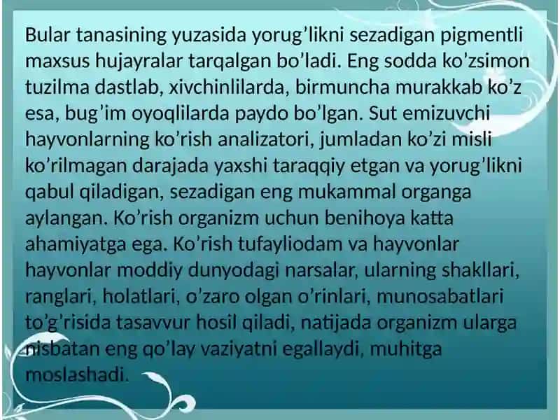 Ko'rish analizatori 3