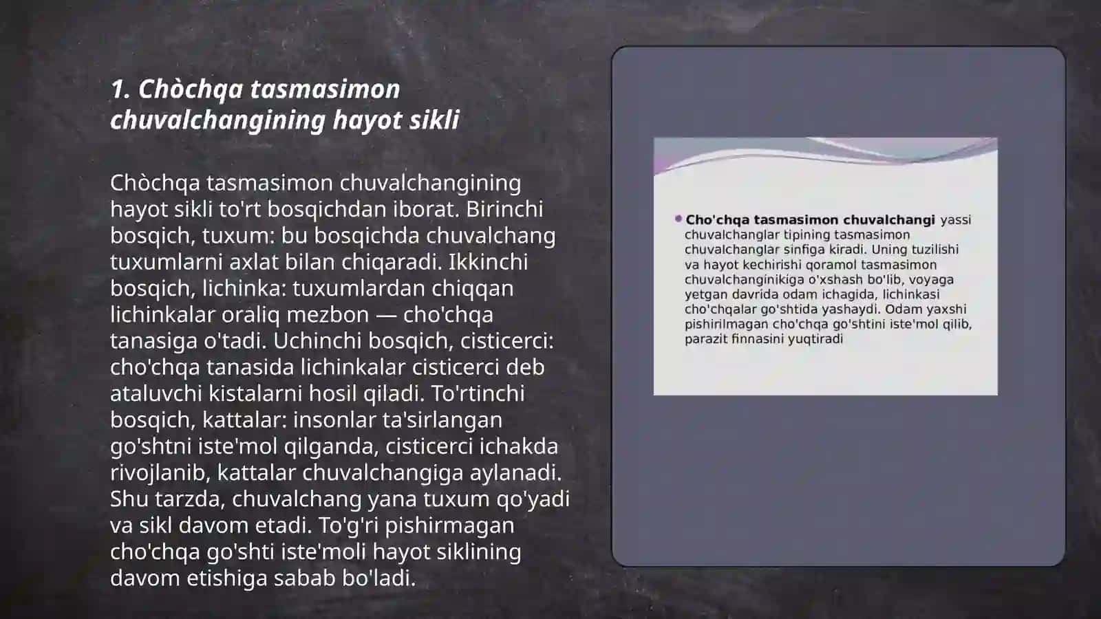 Chòchqa tasmasimon chuvalchangi 3