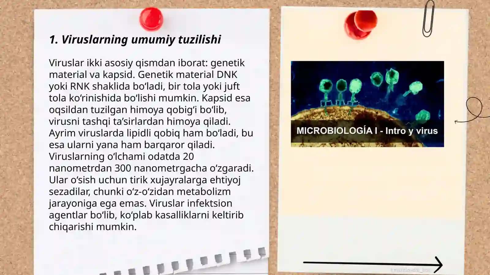 Umumiy virusologiya va bakteriofaglar 3
