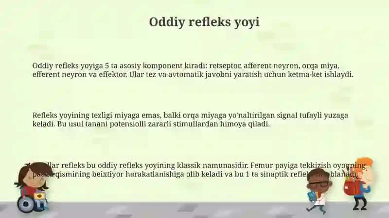 Oddiy refleks yoyi 3