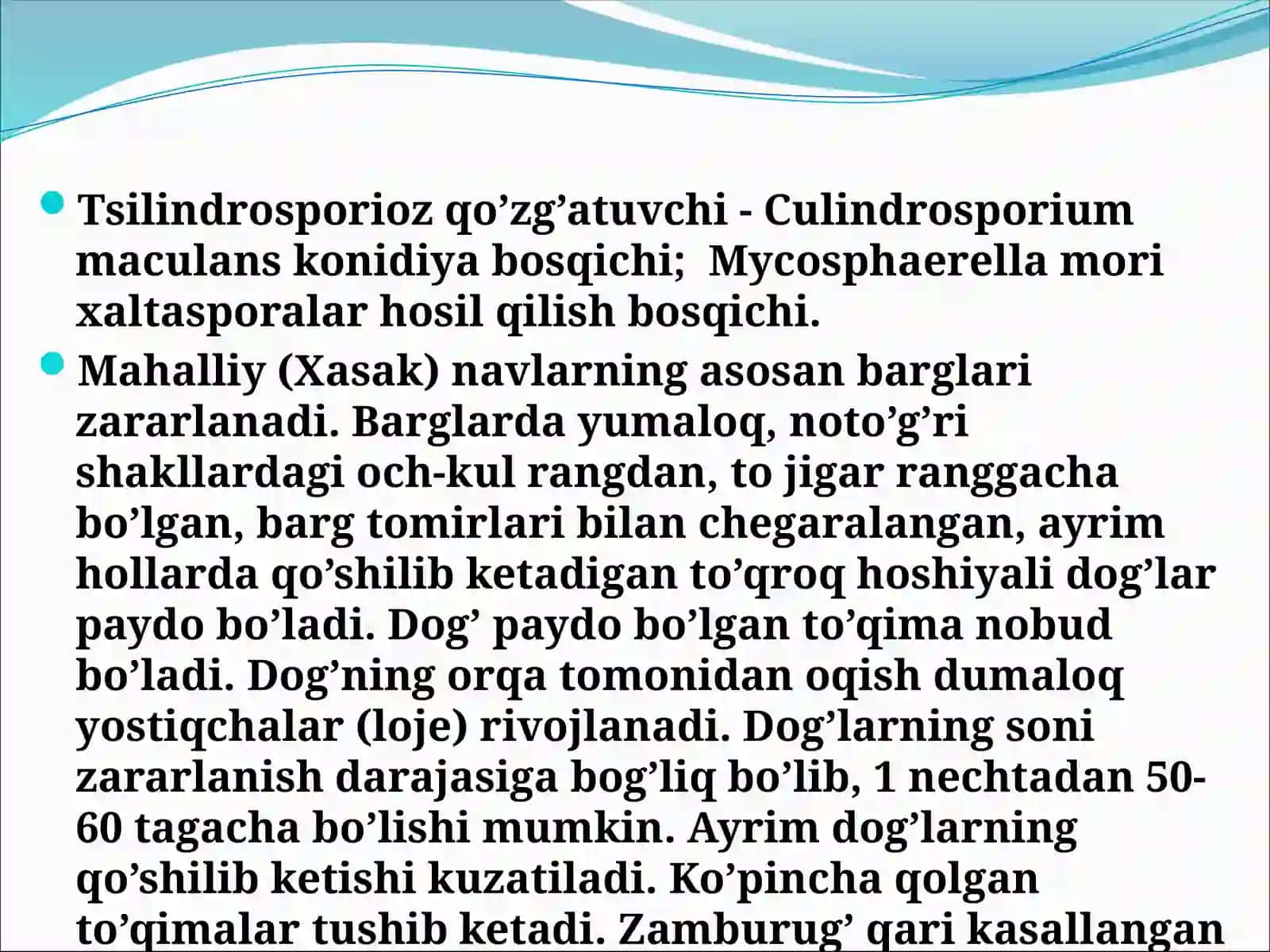 Tutning zamburug’ va bakterioz kasalliklari 3
