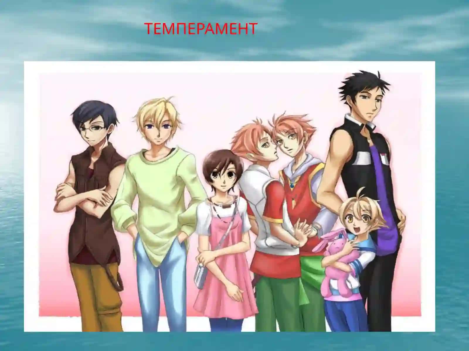 Темперамент ҳақида тушунча ва унинг турлари 3