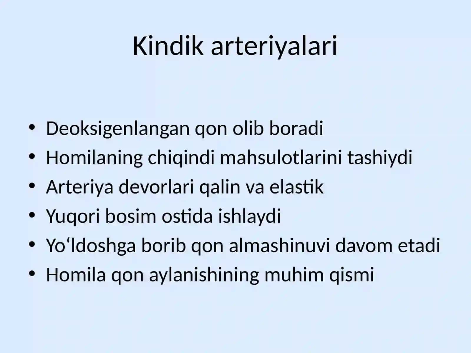 Kindik tizimchasi 3