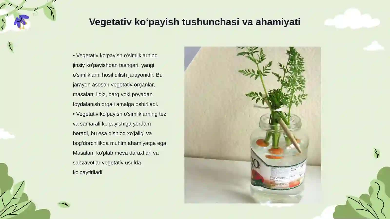 oʻsimliklarning vegetativ koʻpayishi 3
