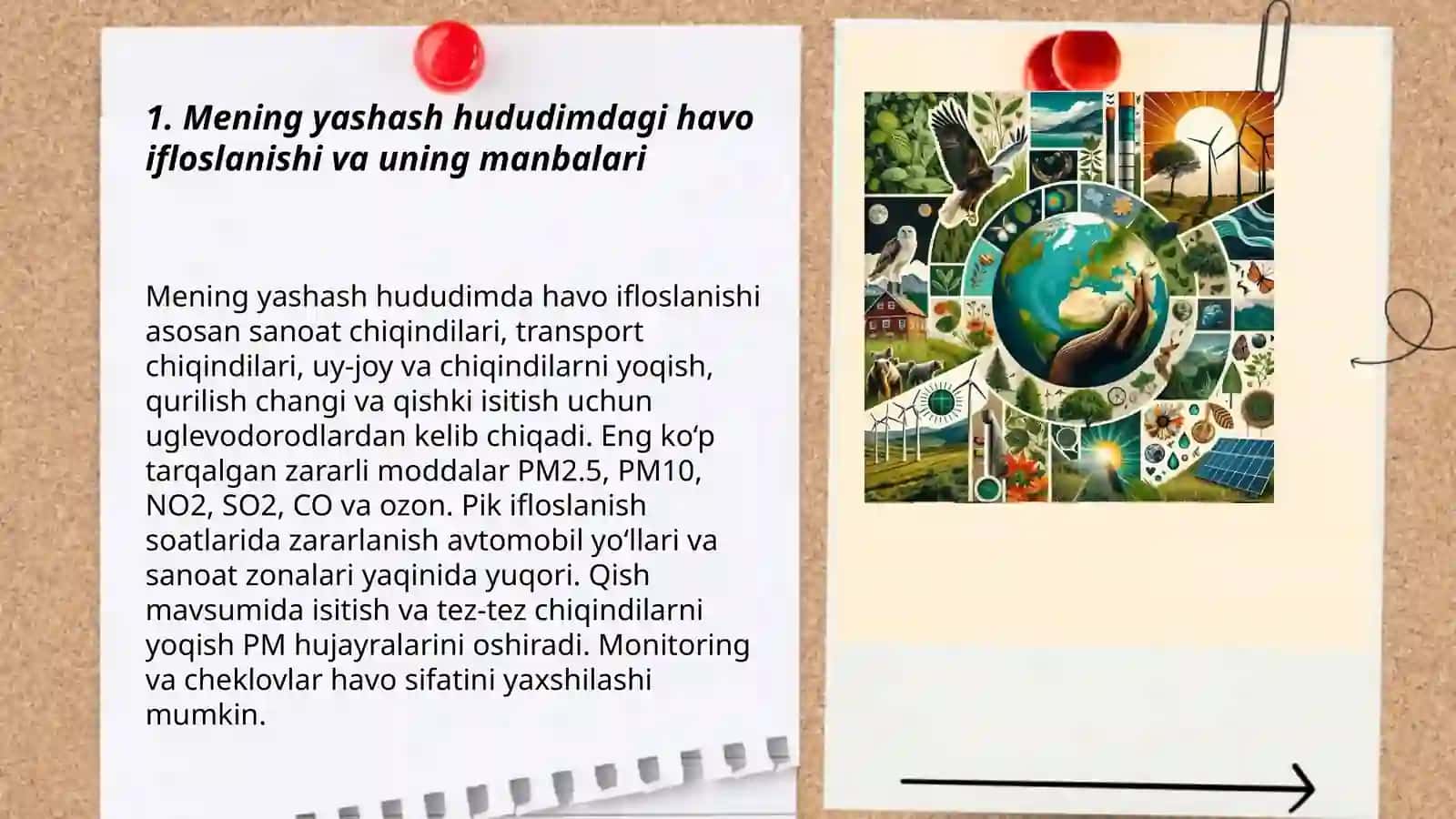 Mening yashash hududimdagi ekologik muammolar 3