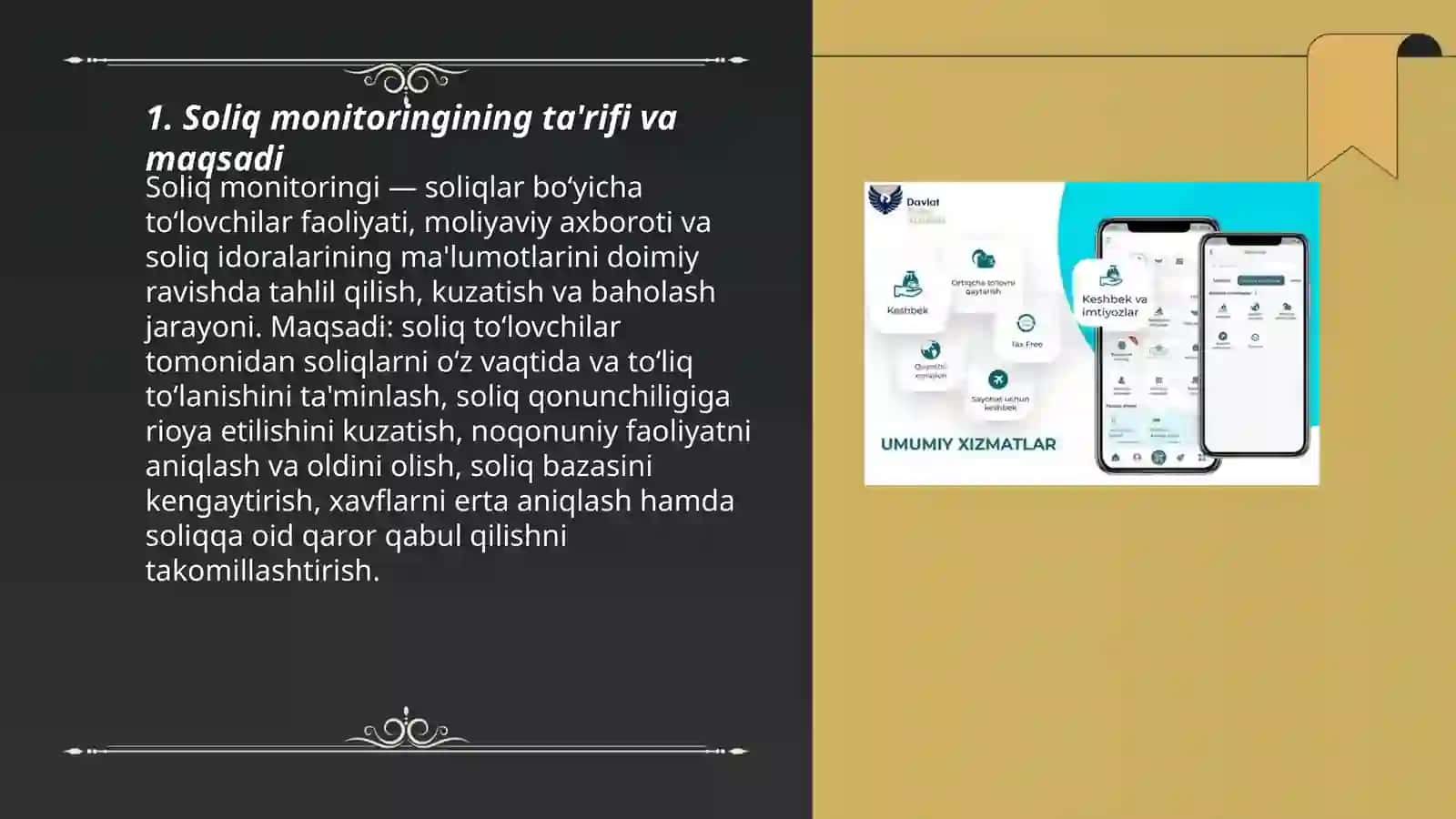Soliq monitoringi 3