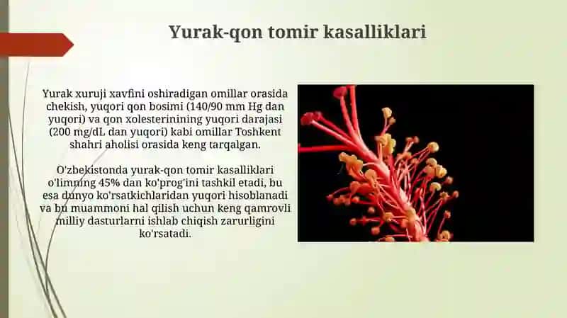 Yurak-qon tomir kasalliklari 3