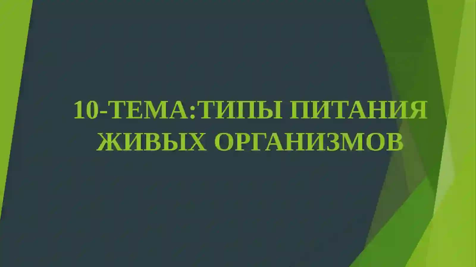 ТИПЫ ПИТАНИЯ ЖИВЫХ ОРГАНИЗМОВ 3