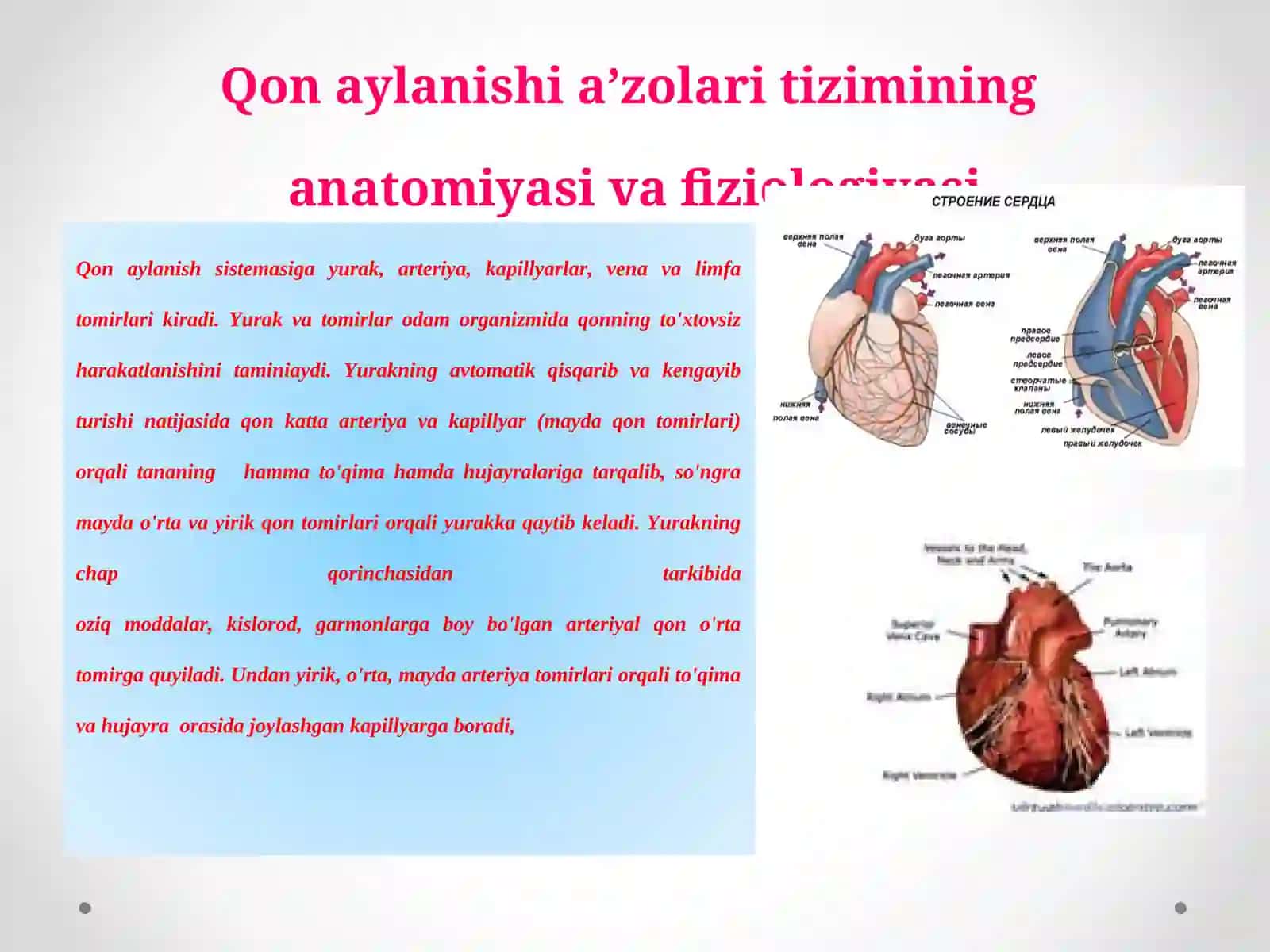 "Qon aylanish a'zolari tizimini baholash" 3