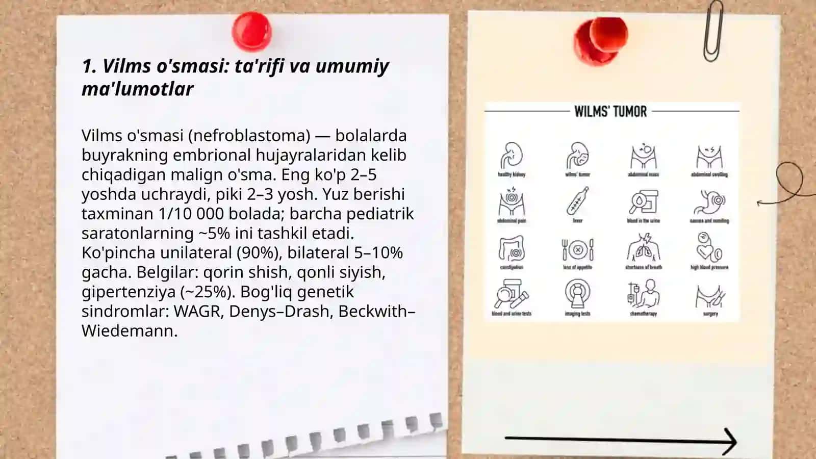 Vilms o'smasi 3