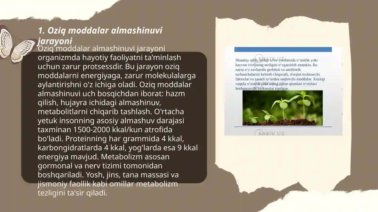 Oziq moddalar almashinuvi jarayoni 3