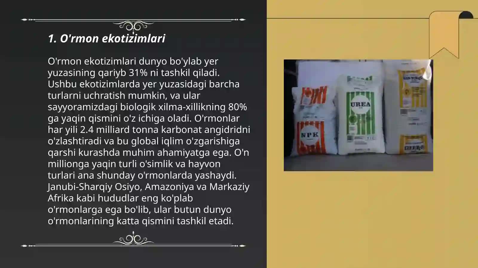 O'rmon ekotizimlari 3