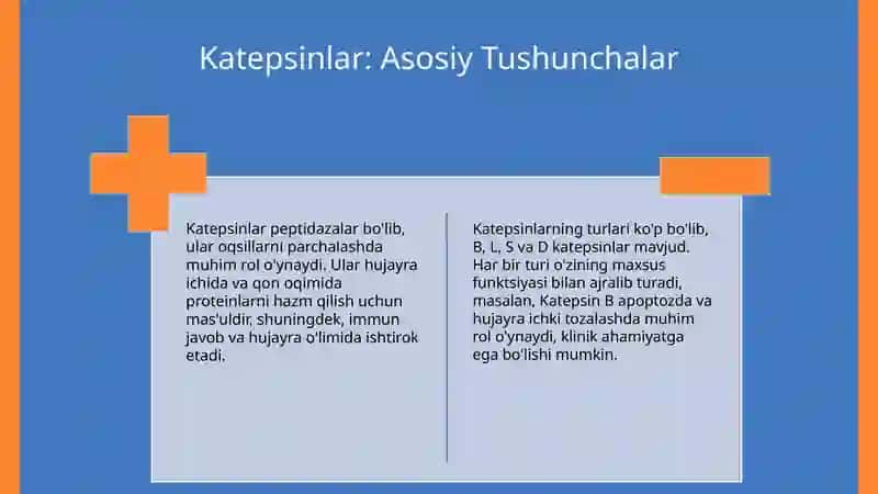 Katepsinlar, ularning klinik ahamiyati. 3