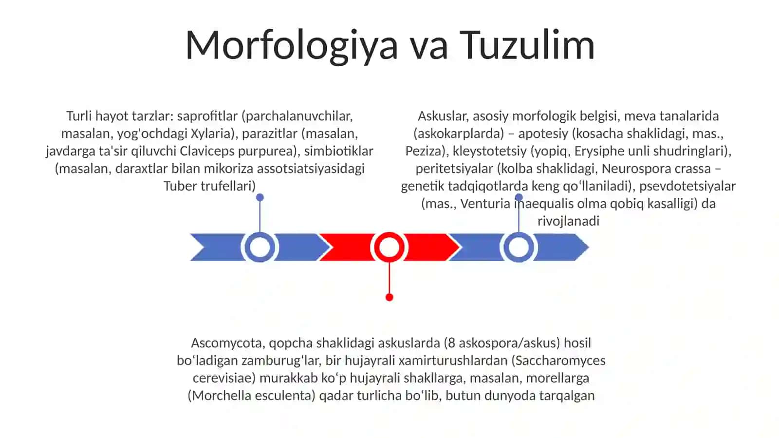Askomitsetsimonlar sinfining sistematik belgilarini aniqlash 3
