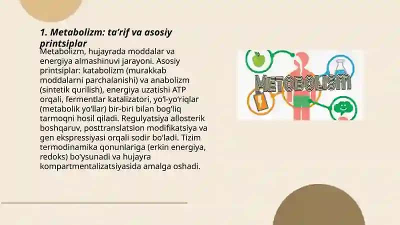 Metabolizm 3