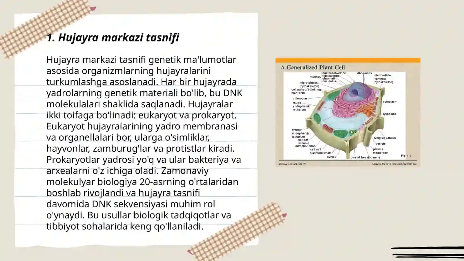Hujayra markazi 3
