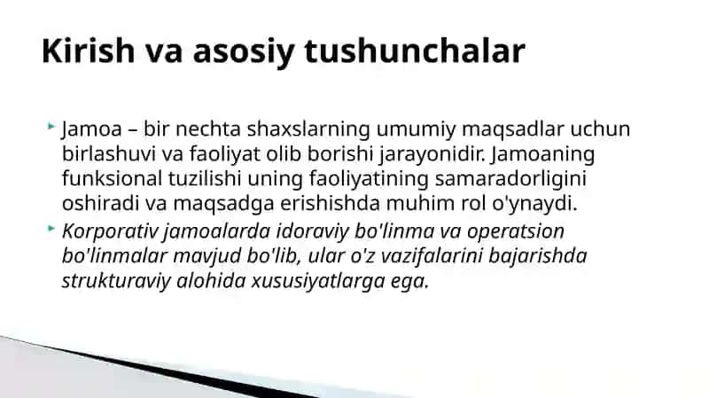 Jamoaning funksional tuzilish va strukturasi 3