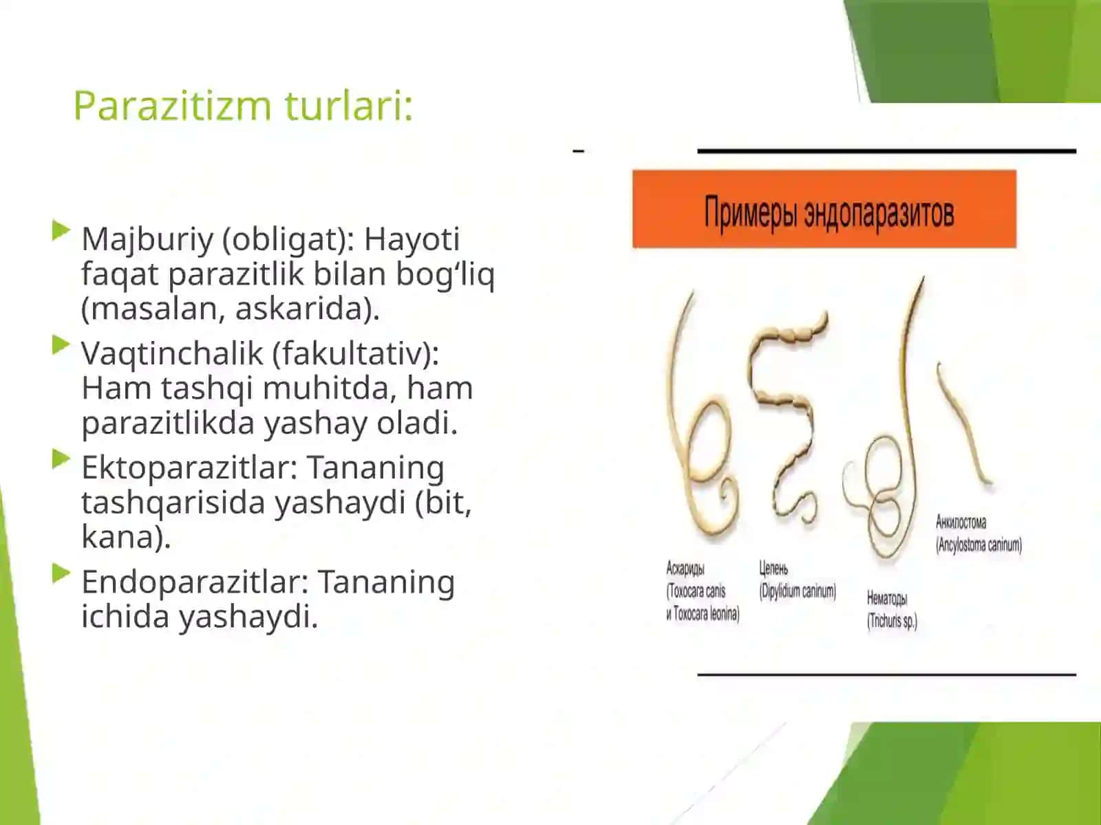 Tibbiy protozoologiya 3