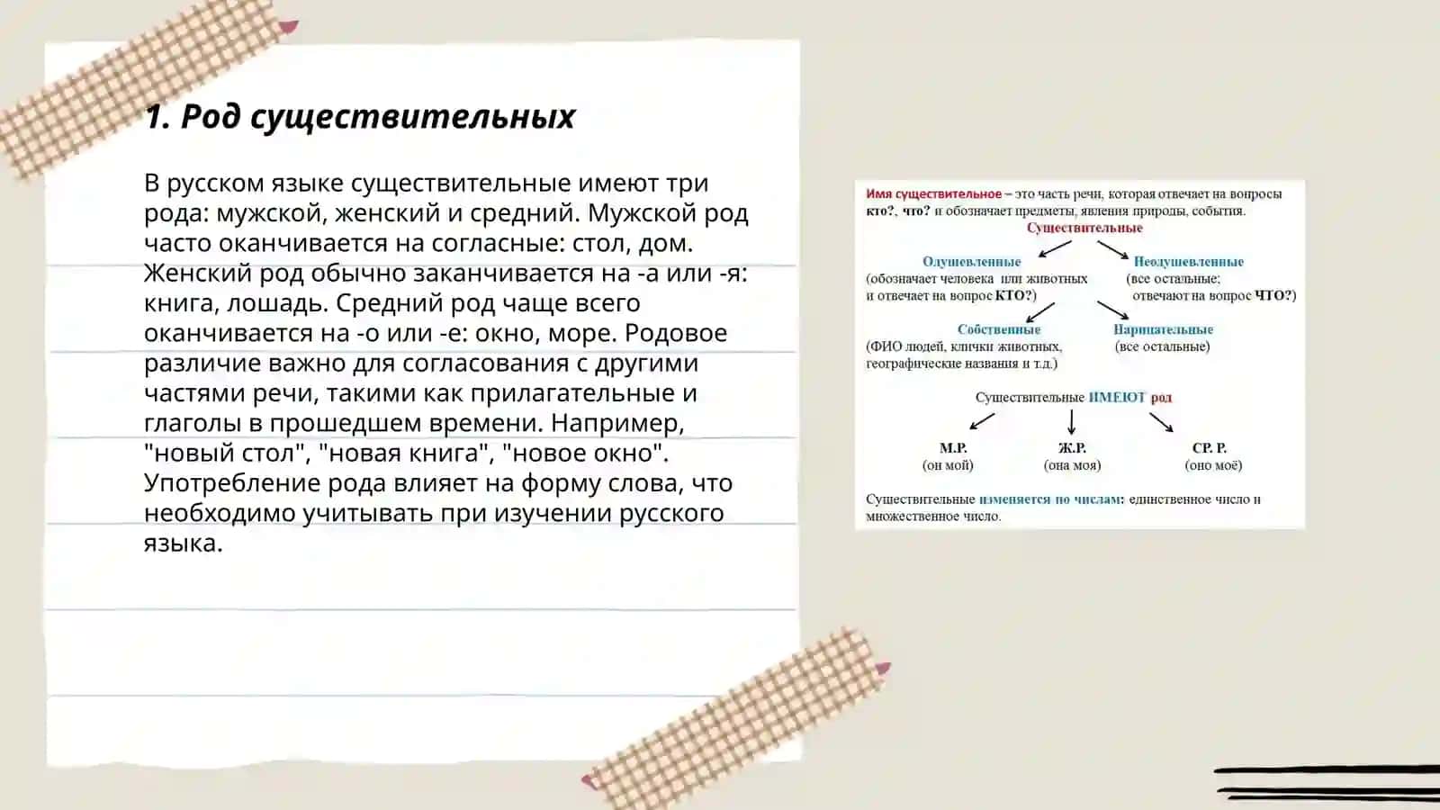 Имена существительные 3