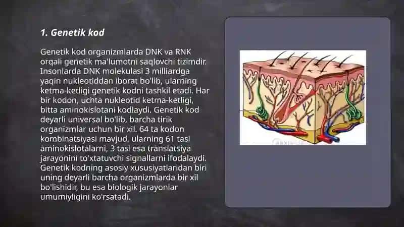 Odam genitikasi 3