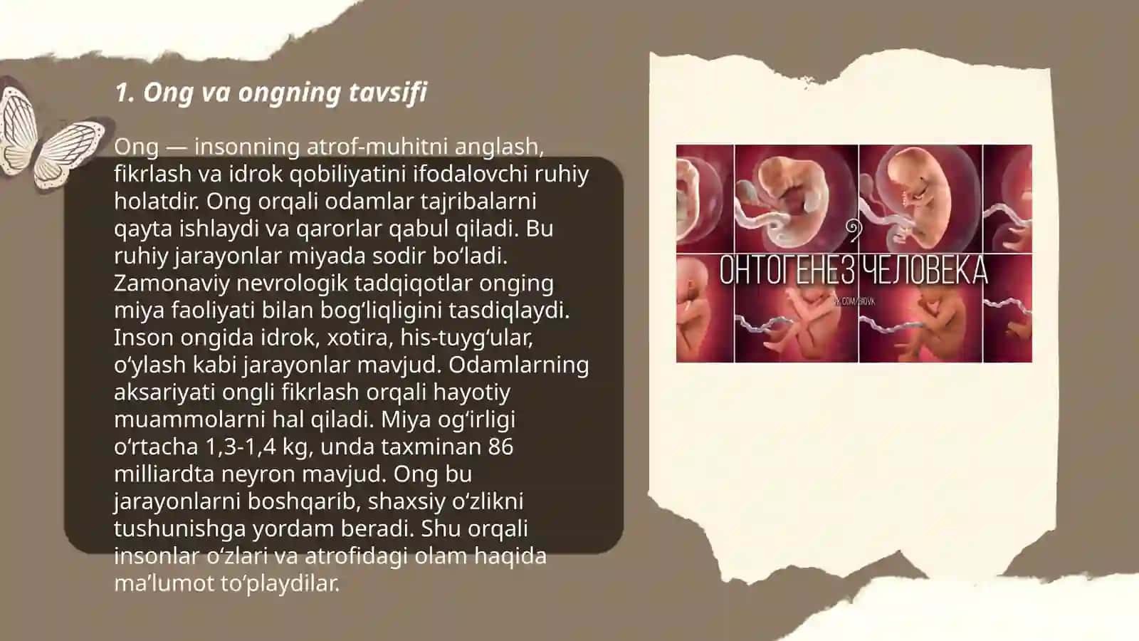 Ong va uning rivojlanishi 3