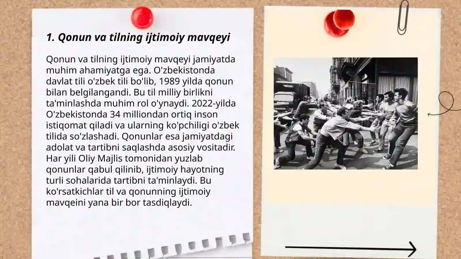 Qonun va tilning ijtimoiy mavqeyi 3