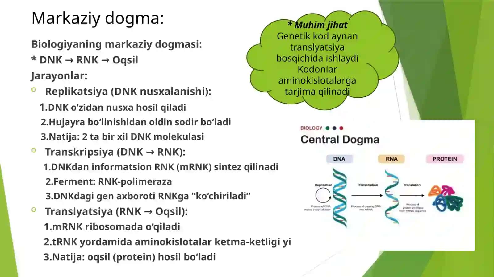 Genetikkod: tarkibi, tuzilishi va xossalari 3
