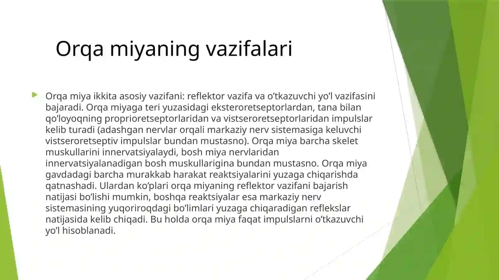 Orqamiyaning vazifalari 3