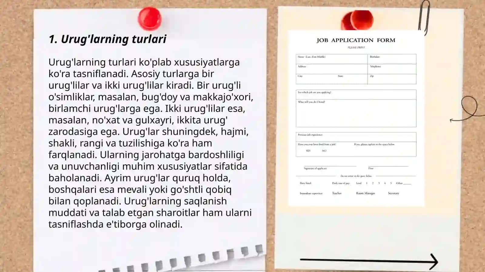 Urugʻlardan applikatsiya yasash 3