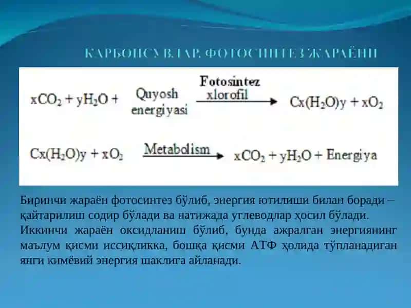 Углеводлар. Моно-,ди-,полисахаридлар 3
