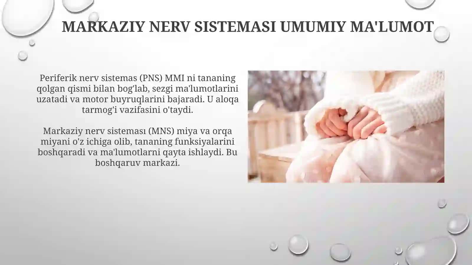Markaziy nerv va periferik nerf sistemasi 3