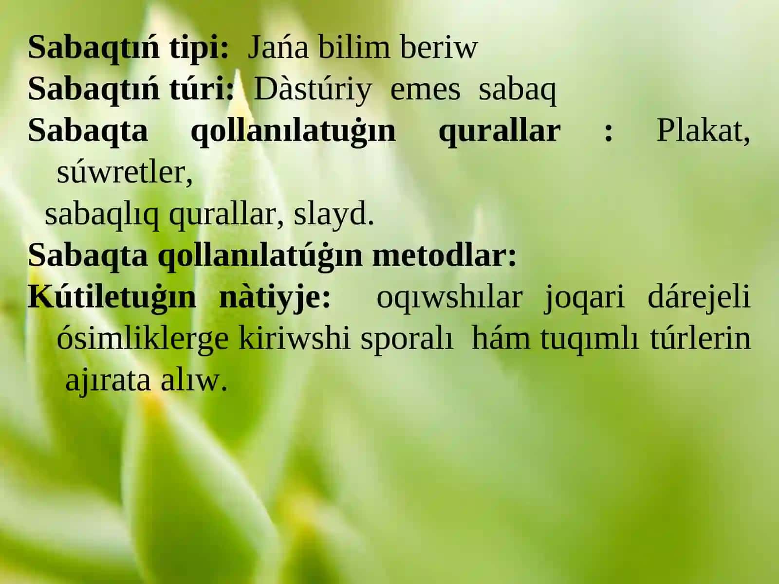 Joqarı dárejeli ósimlikler 3