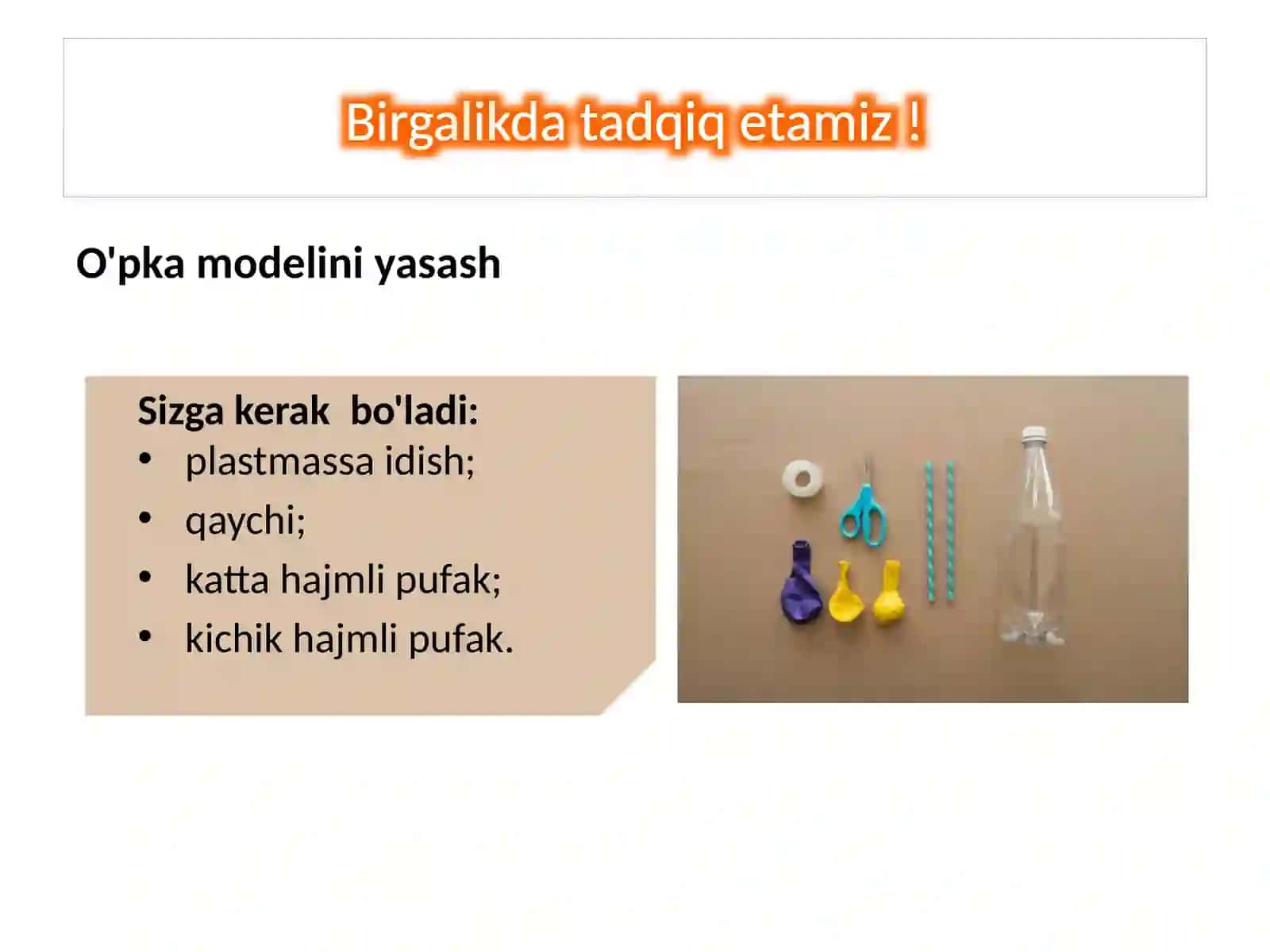 Nafassistemasi 3